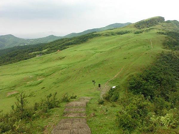 草嶺古道.519基石.鑛務課440基石.桃源谷.草嶺山.灣坑頭山.蕃薯寮山 196