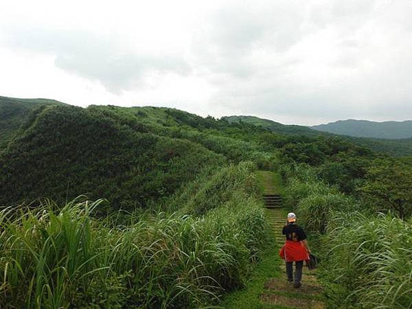 草嶺古道.519基石.鑛務課440基石.桃源谷.草嶺山.灣坑頭山.蕃薯寮山 201