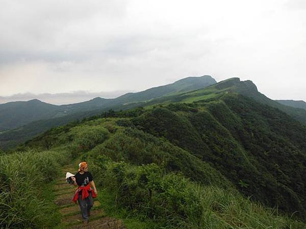 草嶺古道.519基石.鑛務課440基石.桃源谷.草嶺山.灣坑頭山.蕃薯寮山 204