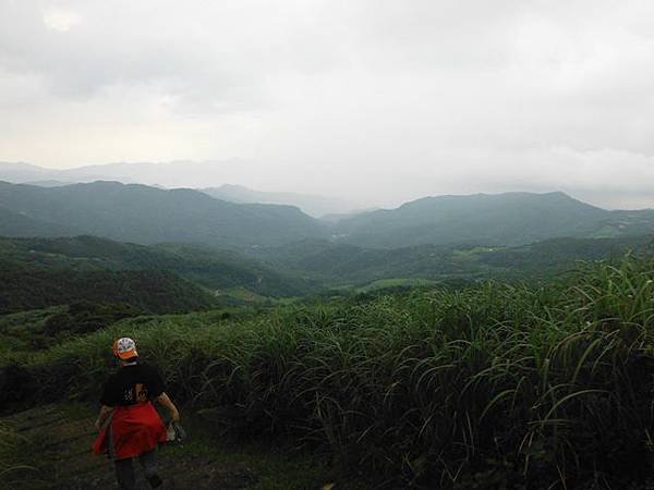 草嶺古道.519基石.鑛務課440基石.桃源谷.草嶺山.灣坑頭山.蕃薯寮山 205