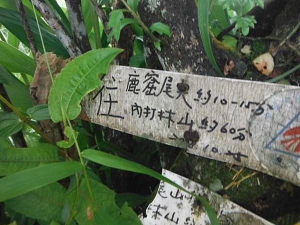 草嶺古道.519基石.鑛務課440基石.桃源谷.草嶺山.灣坑頭山.蕃薯寮山 207