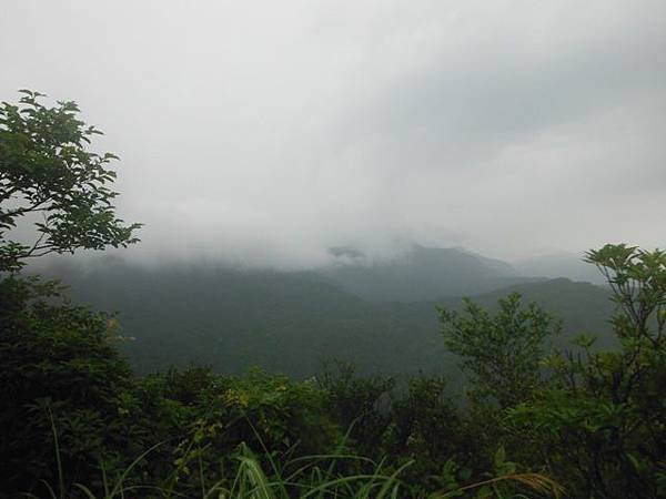 草嶺古道.519基石.鑛務課440基石.桃源谷.草嶺山.灣坑頭山.蕃薯寮山 213