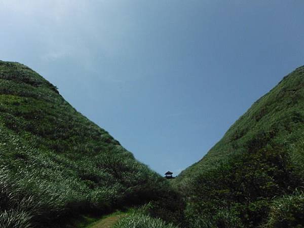 草嶺古道.519基石.鑛務課440基石.桃源谷.草嶺山.灣坑頭山.蕃薯寮山 061.JPG