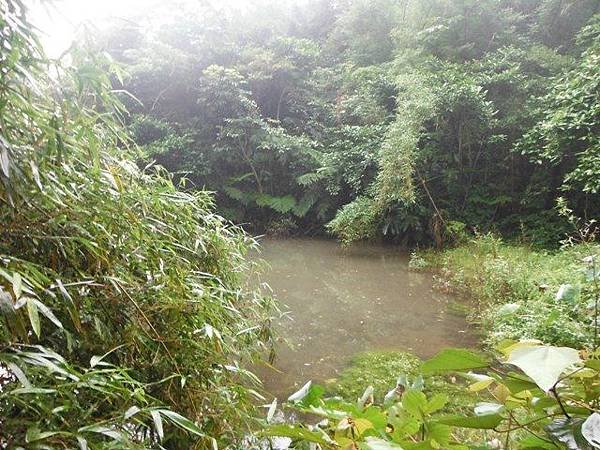 鹿仔寮山.深澳湖.深澳山.秀琦山.瑞芳山.龍潭山.瑞芳忠魂碑 042
