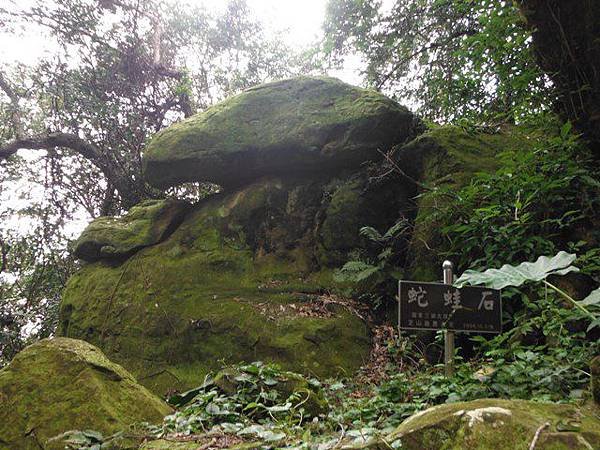 神農宮開基碑記.芝蘭廟碑記.芝山合約碑記.惠濟宮碑誌.磺溪山南峰.慈生宮碑.台北府芝蘭堡奇里里岸接裝重興碑.禁佔碑 059.JPG