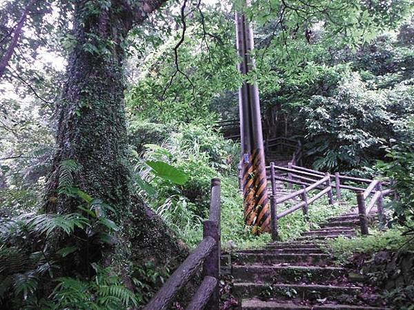 汐止水道步設記.白雲古道.白雲登山步道 033.JPG