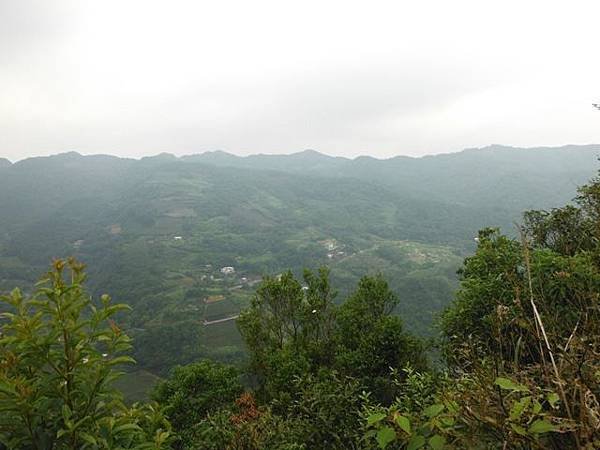 大舌湖山.獅公髻尾山.獵狸尖.粗坑口健行步道.虎寮潭景觀台 025