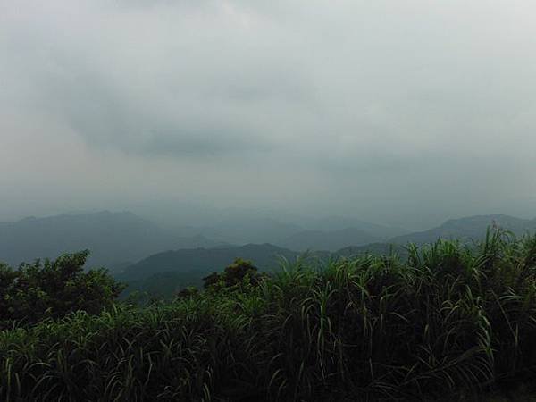 大舌湖山.獅公髻尾山.獵狸尖.粗坑口健行步道.虎寮潭景觀台 142