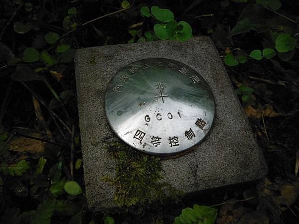 西坑林道 139