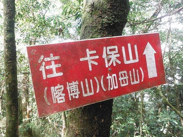 逐鹿山.逐鹿山西峰下雲森瀑布 100