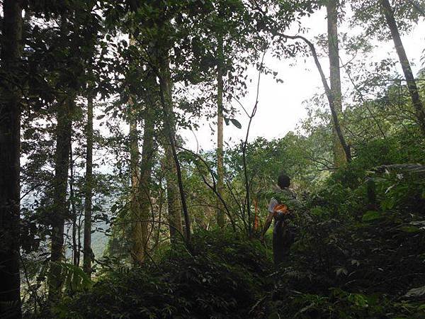 逐鹿山.逐鹿山西峰下雲森瀑布 164