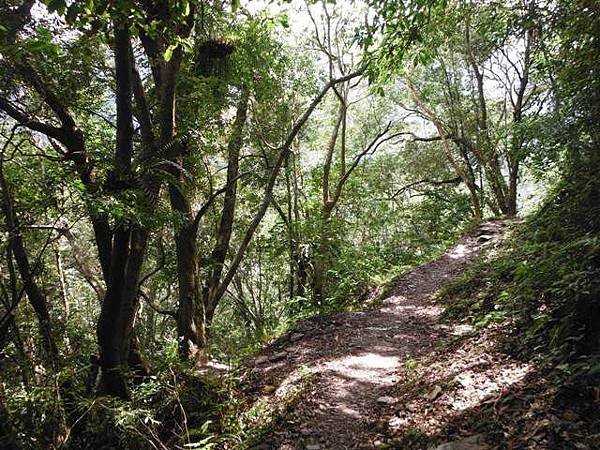 波露池.波露山.哈盆古道 186