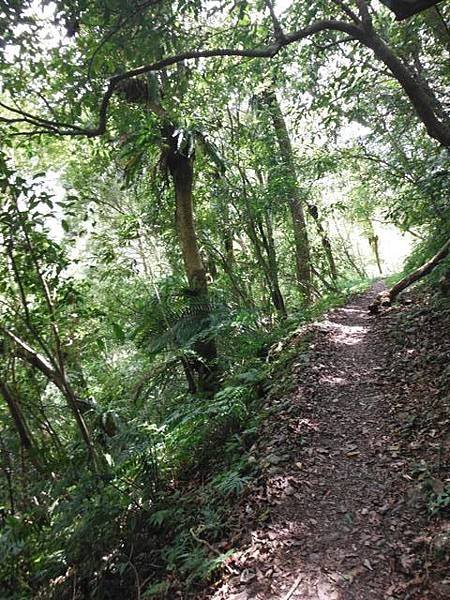 波露池.波露山.哈盆古道 190