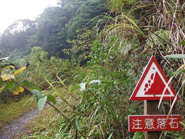 桶后林道.大礁溪山 058