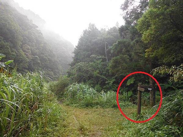 桶后林道.大礁溪山 061