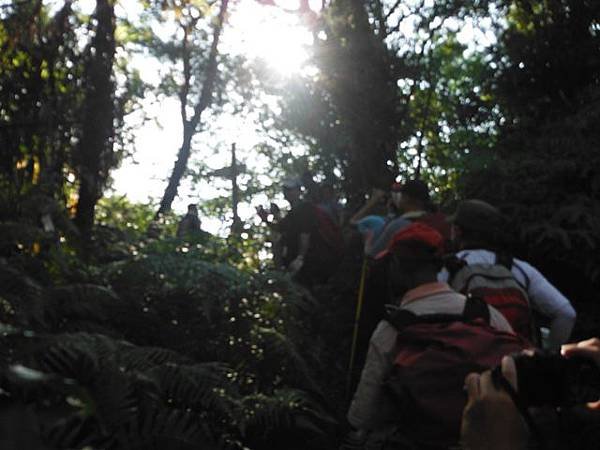 實旅聯網十周年活動.雷公埤山.雷公埤古道.車閂寮古道.中嶺山.十份子古道 123