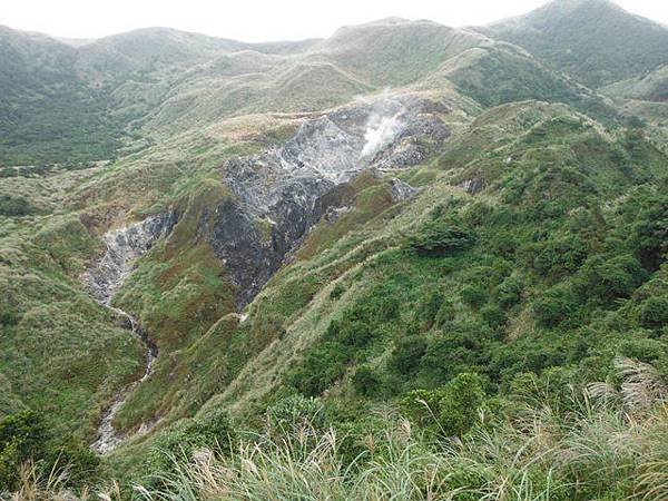 魚路古道秋芒.大油坑山 105