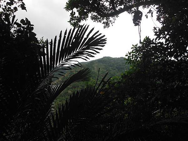 大保克山西峰.內洞瀑布 014
