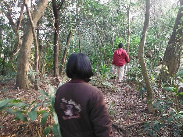 羊年除夕.中埔山.芳蘭山北區水建會隧三角13號基石 035