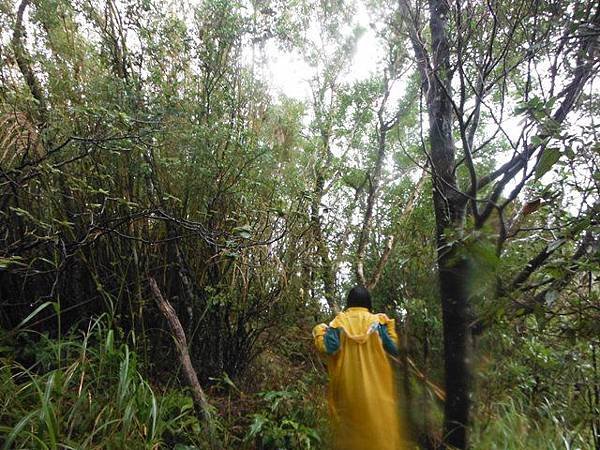 銀河洞瀑布.六分山.四面頭山 092.JPG