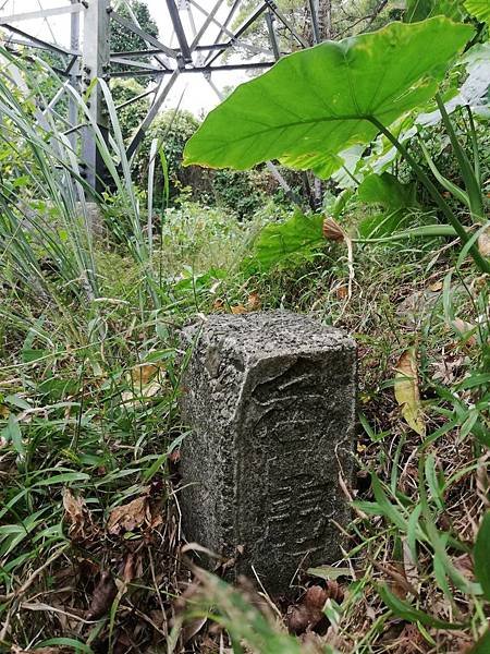 2019.12.19.牛埔尾山 (72).jpg