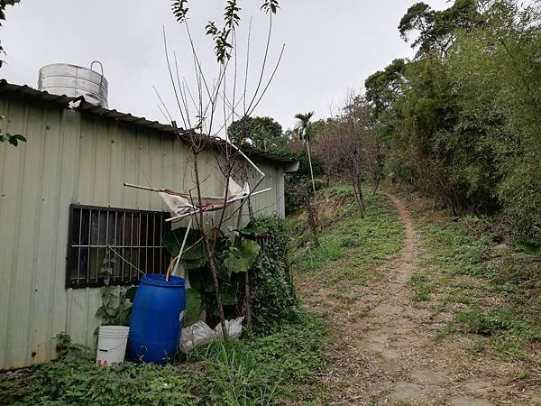 2019.12.19.牛埔尾山 (76).jpg