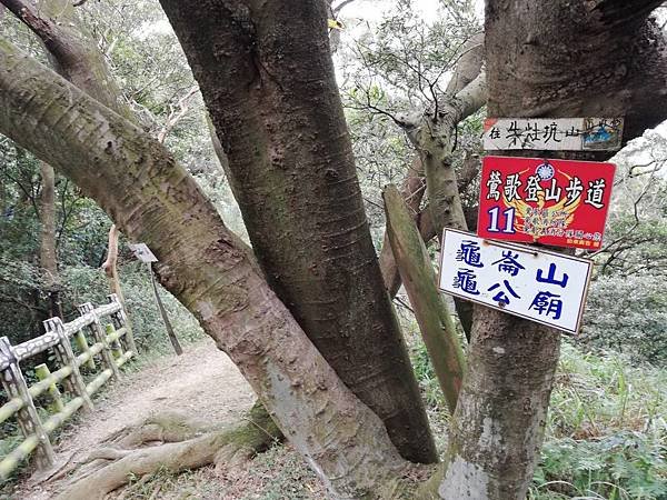 鶯歌碧龍宮3D地景.龜公山.牛灶坑山 (31).jpg