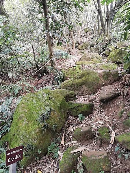 鶯歌碧龍宮3D地景.龜公山.牛灶坑山 (19).jpg