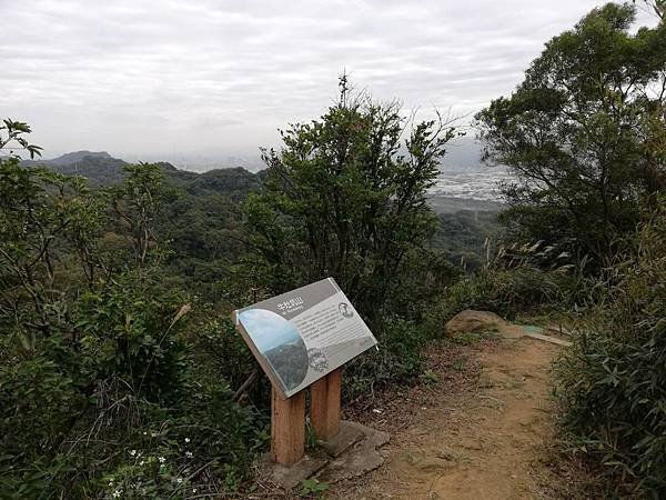 鶯歌碧龍宮3D地景.龜公山.牛灶坑山 (17).jpg