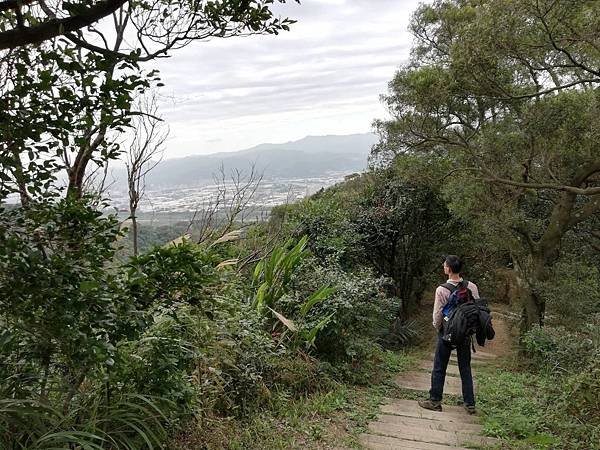 鶯歌碧龍宮3D地景.龜公山.牛灶坑山 (2).jpg