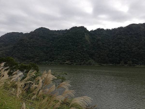 鶯歌碧龍宮3D地景.龜公山.牛灶坑山 (35).jpg