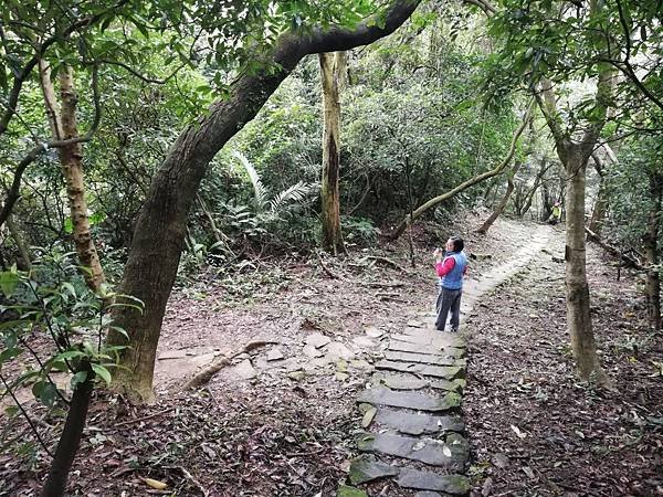 太極嶺 (53).jpg
