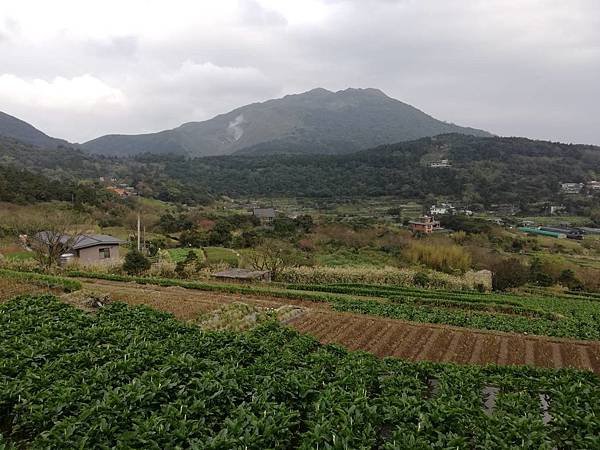 竹子湖青楓步道 (13).jpg