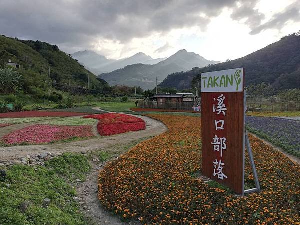 溪口部落花海 (17).jpg