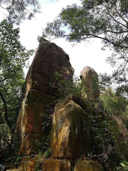 牛埔頭山大尖山 (61).jpg