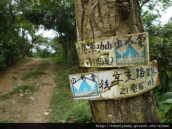 軍功山.中埔山.魚民日式料理 028.JPG