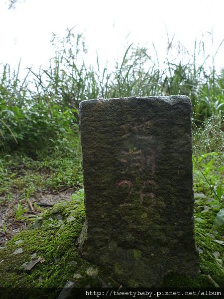 圓潭子坑山.大香山.客家滷味 091.JPG