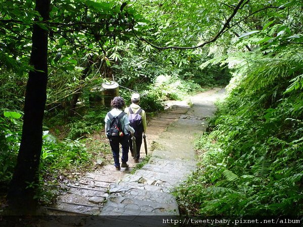 員山基石.太極嶺.五城山 055.JPG