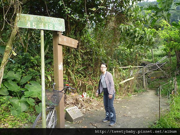 木柵杏花林.待老坑山.救千宮步道 065.JPG
