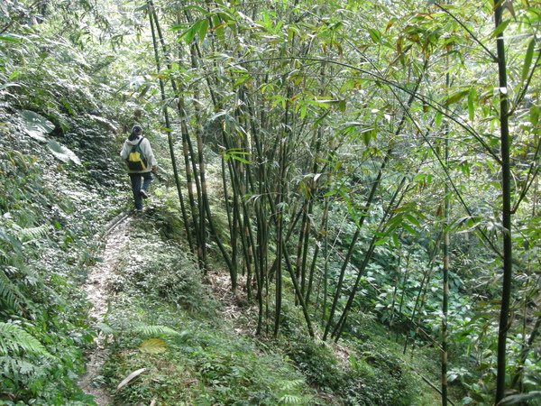 石燭尖.九龍山.峰頭尖東峰 016.JPG