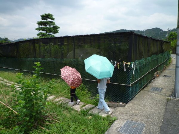 尾寮古道北段 038.JPG