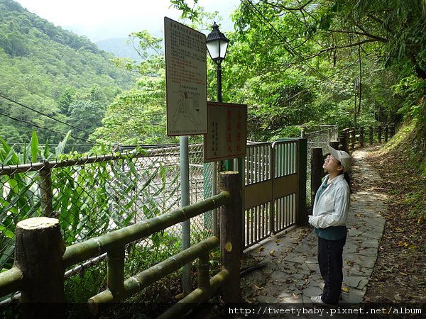 烏來落鳳山 020.JPG