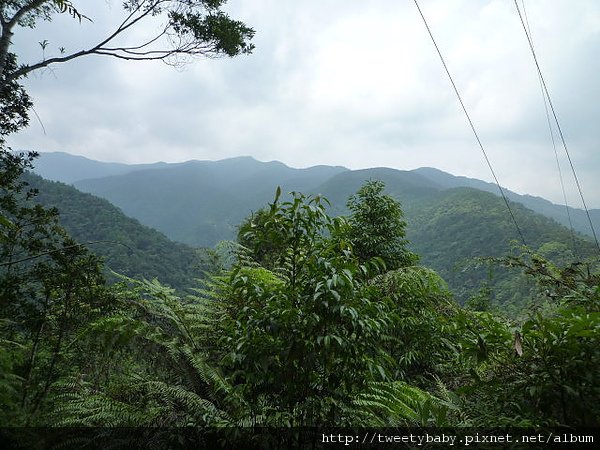 烏來落鳳山 043.JPG