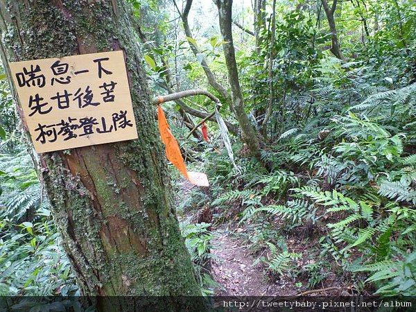 烏來落鳳山 077.JPG