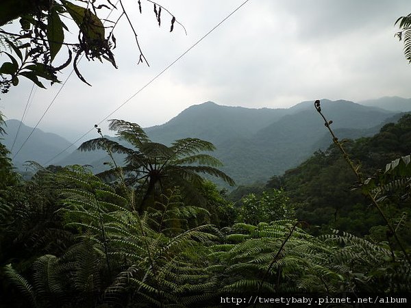 烏來落鳳山 161.JPG