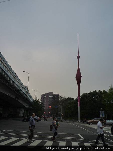 台大賞杜鵑 146.JPG