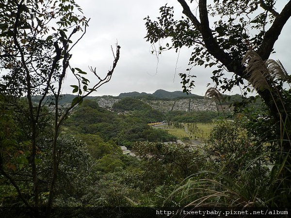 富德山.密婆坑山.福德坑山 086.JPG
