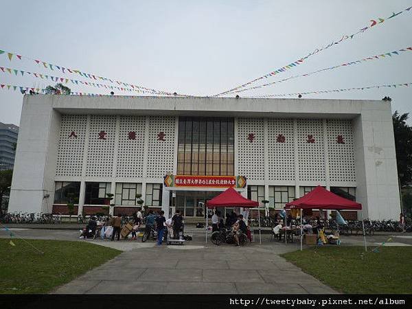 台大賞杜鵑 088.JPG