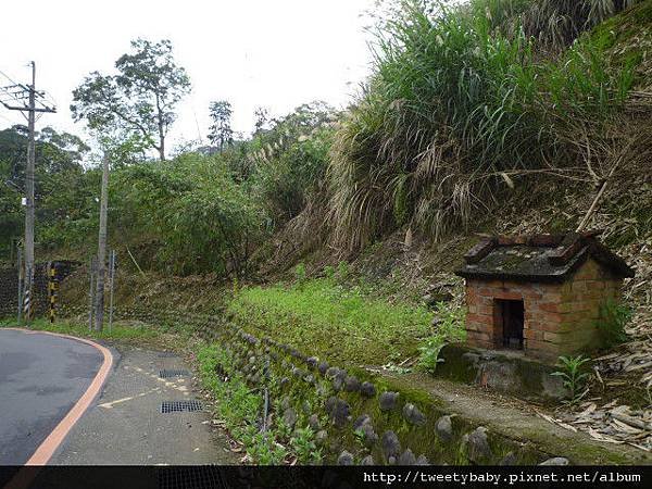 下大坑山.萬順寮山.深坑庄.阿柔洋 081.JPG