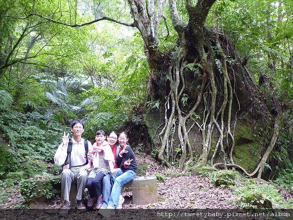 孝子山.慈母峰.普陀山全家福 013.JPG